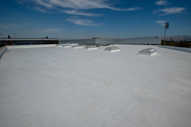 Best Skylight Installation and Repair  in Danbury, TX